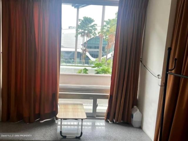 8 @ Mount Sophia D9, Condominium