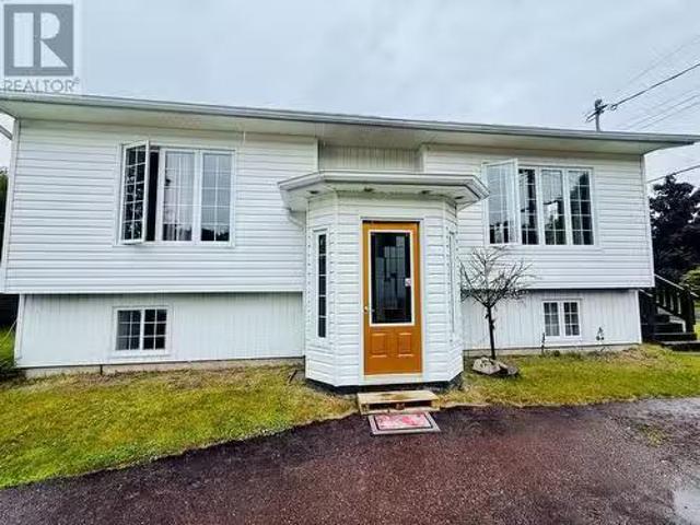 8 Normores Lane, Springdale, NL, A0J 1T0 house for sale Lis.