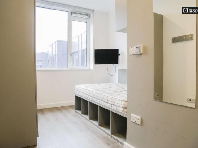 8 Bedroom Apartment Dublin Dublin D01 DR94 101824850