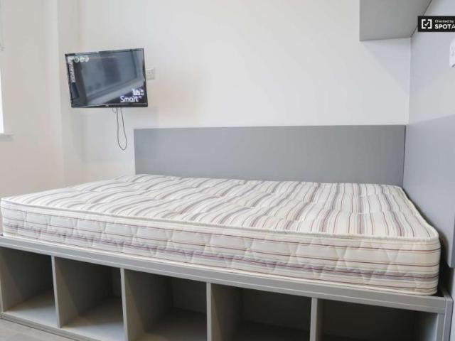 8 Bedroom Apartment Dublin Dublin D01 DR94 101820450