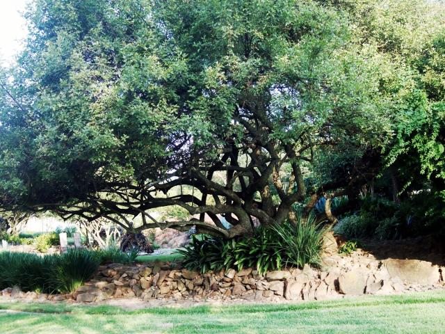 8 Bedroom House For Sale in Glen Austin AH