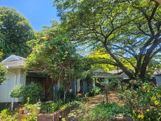 8 Bedroom House in Montrose