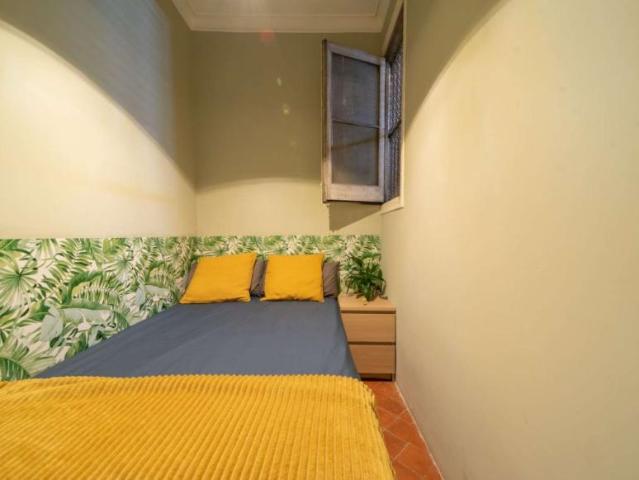 8 Dormitorio Shared Living/Roommate Barcelona Barcelona 96656959