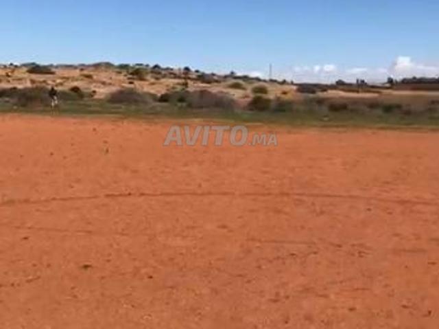 8 Ha Titrés Proche Berkane & plages