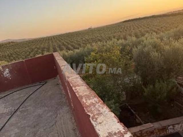 8 hectares à vendre
