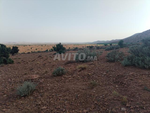 8 hectares de terrain agricole et pastoral