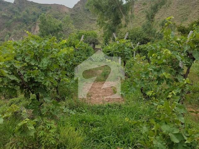 8 Kanal Ownership Farm House Land For Sale On Kalar Syedan Kahuta Road, Rawalpindi