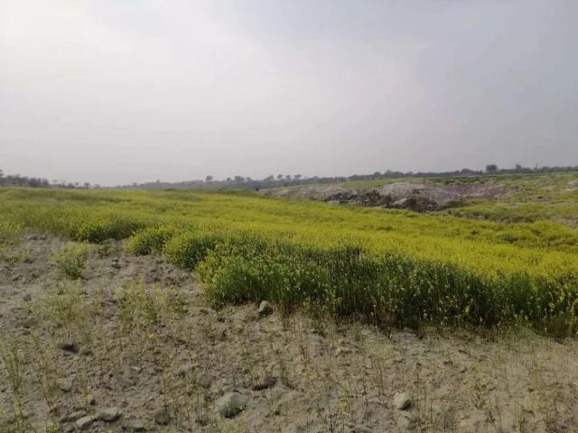8 kanal agricultural land Bulkasar Islamabad Bahria Town ID 09752