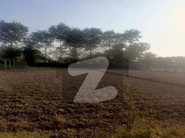 8 kanal beautifull farmhouse plot