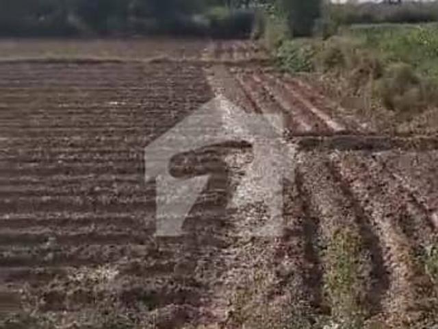 8 Kanal Industrial Plot For Sale In Very Low Price