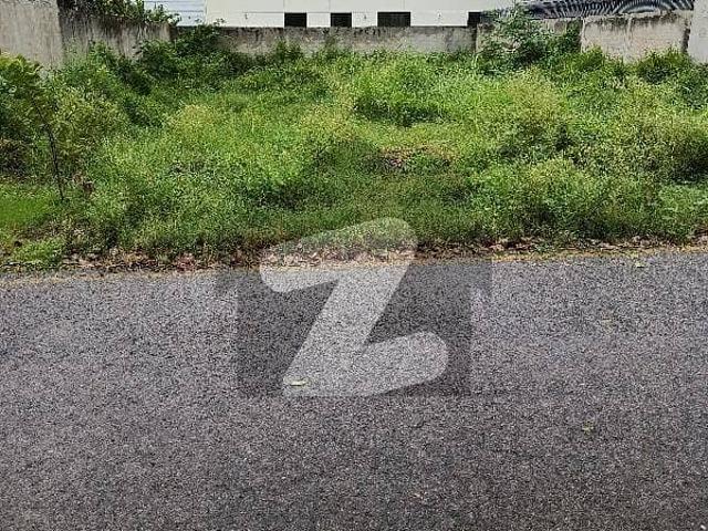 8 Kanal, s Plot For Sale