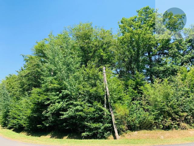8 KM SUD EGREVILLE