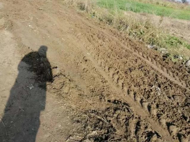 8 KM to the chakri interchange, best for fruit Farms and cultivation Rawalpindi Chakri Road ID 53276