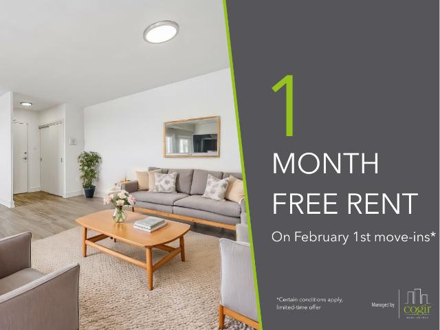 8 Lomond Drive 1908 [object Promise] for Rent
