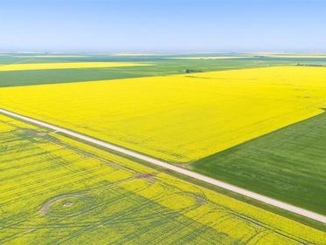 8 Quarters Premium Grainland Near Lewvan Reimer, Scott Rm No. 98, SK, S0G 0S0 farm for sale | Listing ID SK042413 | Royal LePage