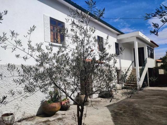 8 quarto, Vila Flor Vila Flor LS92987250