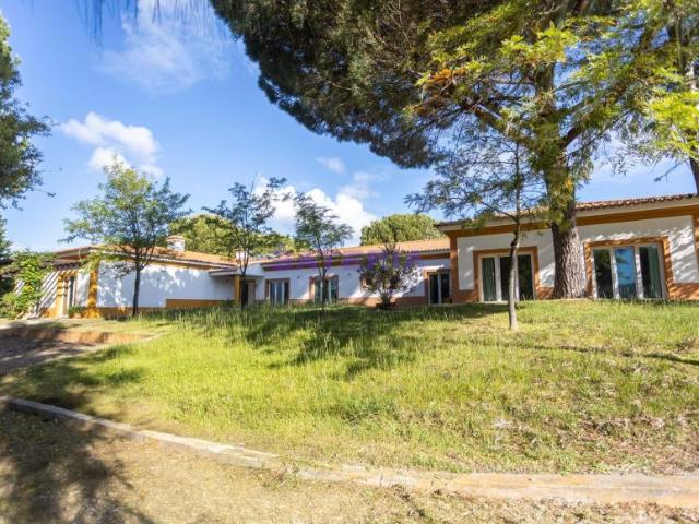 8 quarto, Benavente Santarém 102206459