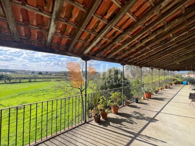 8 quarto, Braga Braga 100256826