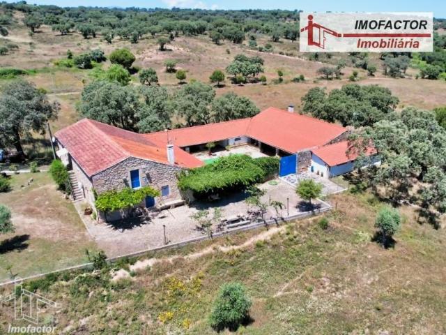 8 quarto, Castelo Branco Castelo Branco 102703672