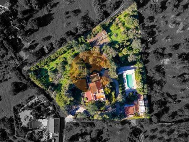 8 quarto, Olhão Faro 8700 077 98212518