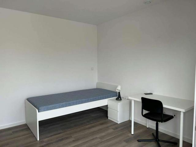 8 quarto, Porto Porto 4300 024 75372988