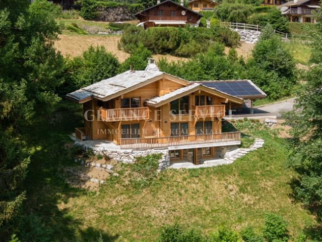 8 Room chalet