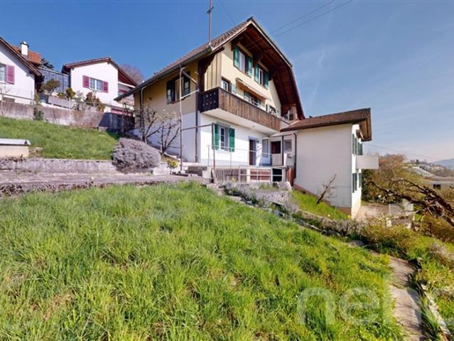 8 Room single house