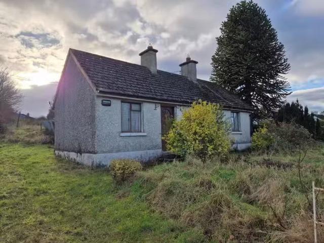 8 Shillelagh Road, Tullow, Co. Carlow, R93KW59 is for sale