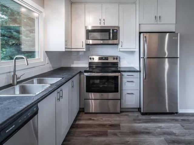 8 Springfield Cres MAIN Apartment for Rent