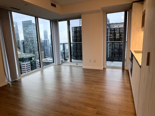 8 WIDMER ST SUITE 4909, Toronto