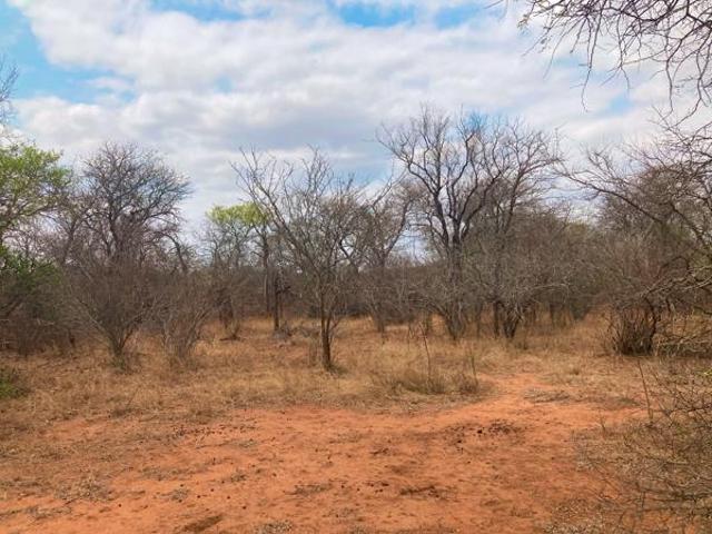 8 124 m² Land available in Moditlo Nature Reserve