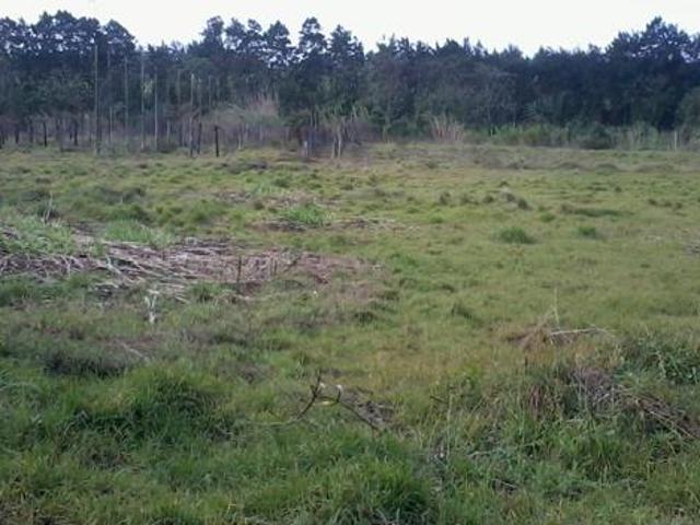 8 241 m² Land available in Riyadh