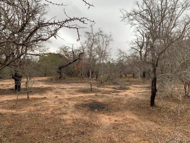 8 220 m² Land available in Moditlo Wildlife Estate