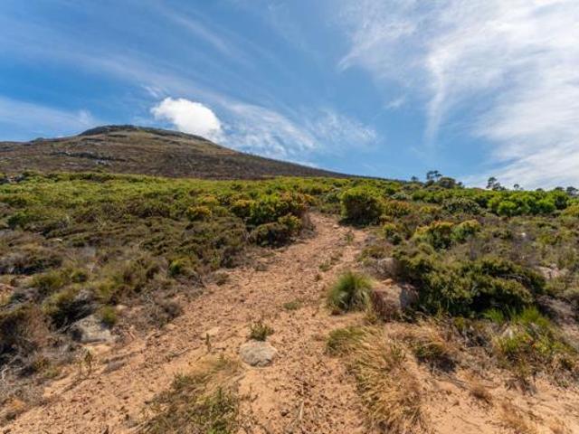 8.3 ha Land available in San Michel