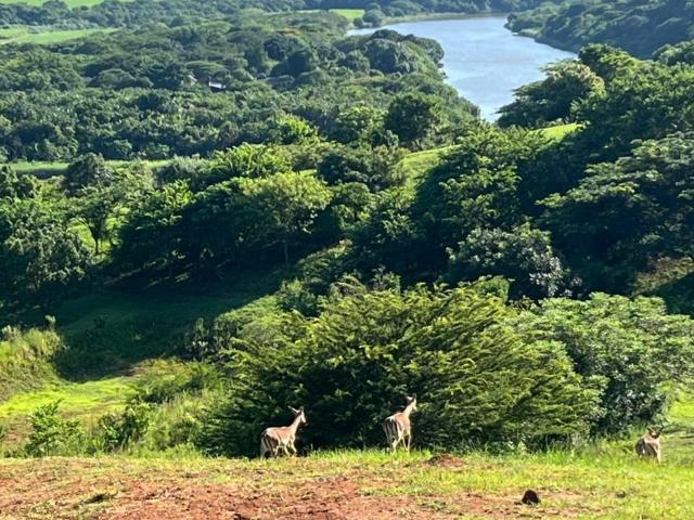 8,462m² Vacant Land For Sale in Zini River Estate