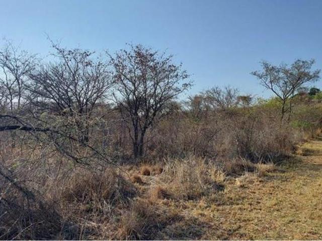 8 564 m² Land available in Bela Warmbaths