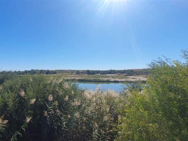 8 565 m² Farm in Upington