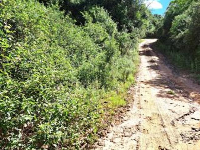 8 565 m² Land available in Bathurst