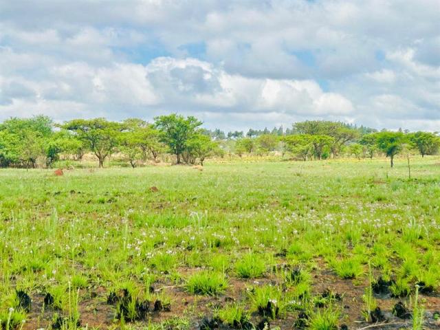 8.5 ha Land available in Vryheid