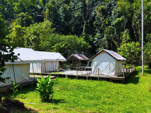 8.66 Ekar Janda Baik Bentong ada Dusun, Chalet, infra lengkap
