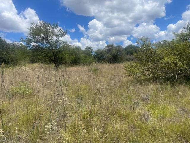 8.6 ha Land available in Leeukuil SH