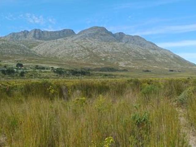8.6 ha Land available in Pringle Bay