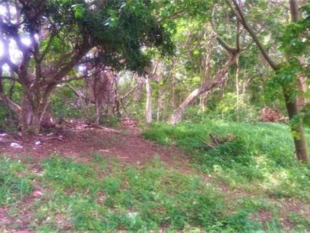 8.6 ha Land available in Umtentweni