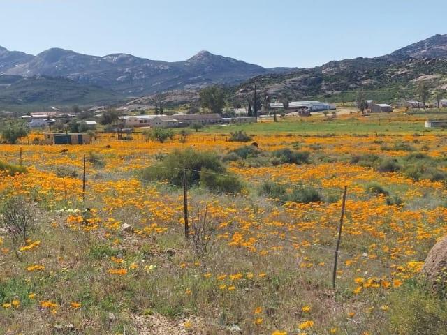 8,922m² Vacant Land For Sale in Kamieskroon