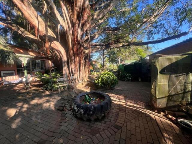 8.9 ha Land available in Makhado Louis Trichardt