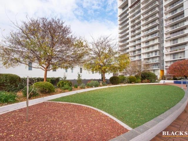 apartment for rent at 8A/60 Callum Street, Phillip ACT 2606, Australia