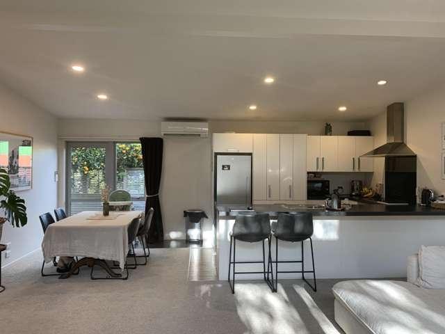 8A Vine Avenue, Maungatapu, Tauranga