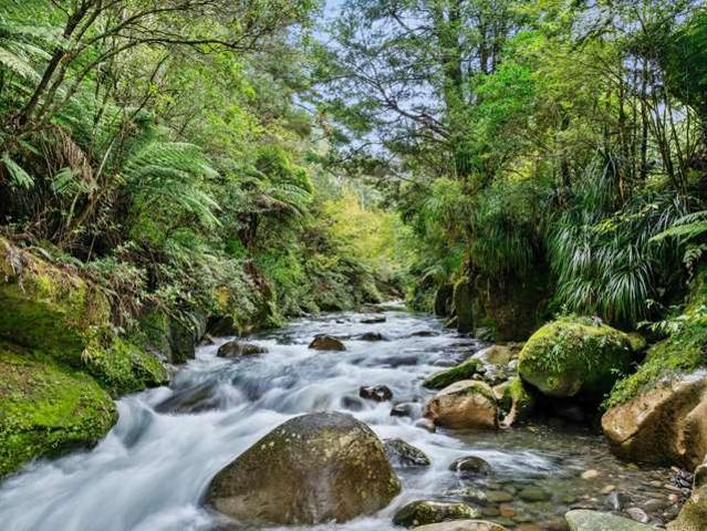 93 Upland Road, Aongatete, Western Bay Of Plenty