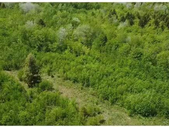 93A Junction Road, Springhill, NS, B0M 1X0 vacant land for s.