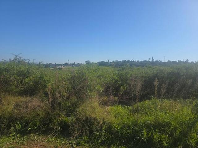 900 m² Land available in Strelitzia Park